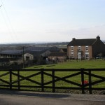 Slightly Less Beloved Classics: <em>Cold Comfort Farm</em> and <em>Nightingale Wood</em>