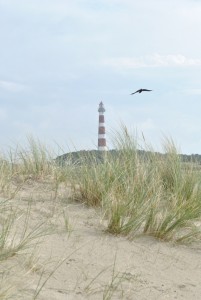 hamptons