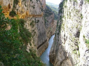 ravine