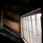 Our First Encounters With <em>Flowers in the Attic</em>