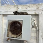 Words of Summer: (H)air Conditioning