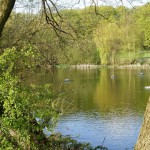 London’s Women-Only Pond