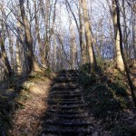 Twelve Steps of Leaving the Church