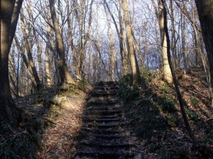 steps