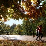 A Dirty Run: Lydia Davis and Kierkegaard