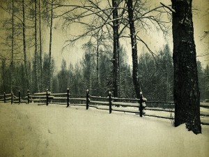 winter