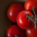 Tomato Stems