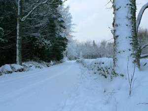 winter