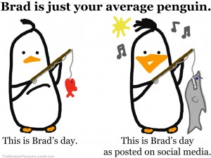 penguin1