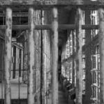 The “Living Burial Ground” at Tamms Prison