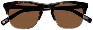 ellison-sun-whiskey-tortoise-top