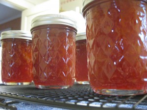 marmalade