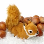 A Brief History of Nuts I’ve Accidentally Eaten