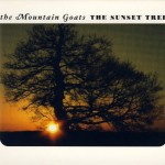 Which <em>Mountain Goats</em> Song Should You Be Listening To?