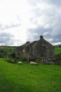 DSC_1062