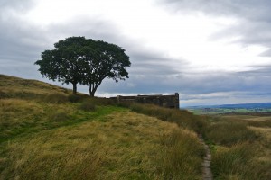 DSC_1101