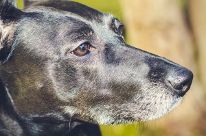 IMG_1587