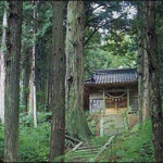 Scare Yourself Silly: The Curious Case of the Himuro Mansion