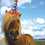 Today Is Our Birthday