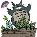 The Criterion Weed Collection