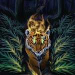 Burning Bright: Tigers and Fireflies and Bioluminescence