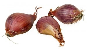 800px-Shallots-Whole