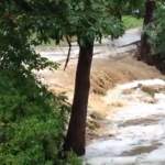 Gal Science: On Dry Ground and in Floods