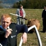 Country Life for the Mildly Unwilling