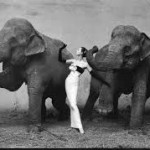 Three Poems by Rosa Lyster