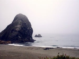 40878244_5ae42b0147_b