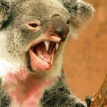 A Look at Australia’s Coming Climate Change Dystopia