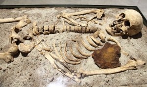 1200px-Vampire_skeleton_of_Sozopol_in_Sofia_PD_2012_06