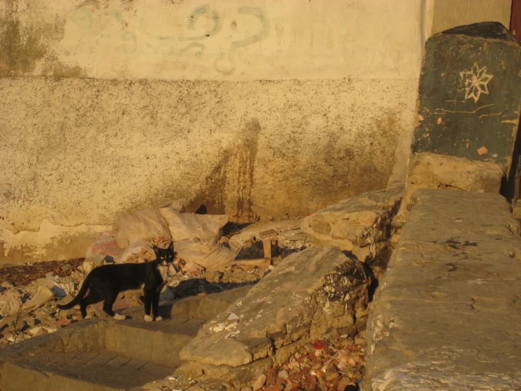 Day 3 Tangier