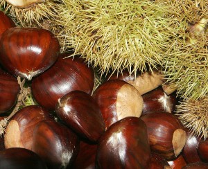 800px-Chestnuts02
