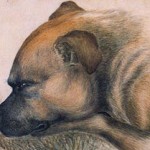 The Animalistic Emily Brontë and Her Dog, Keeper