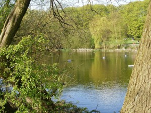 lake