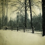 Every New England Novel Ever