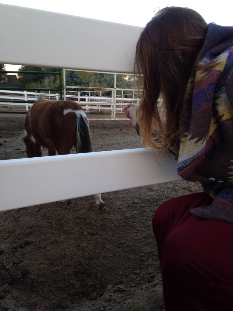 photo (15)