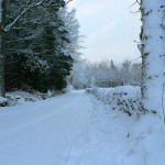 Signs You May Hate Winter
