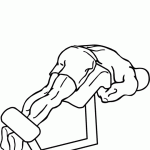 Feel the Burn: But How Do I Work Out My BACK?