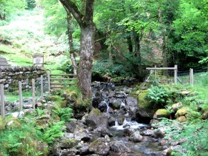 Beginning of Cadair Idris climb