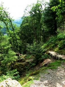 Climbing Cadair Idris