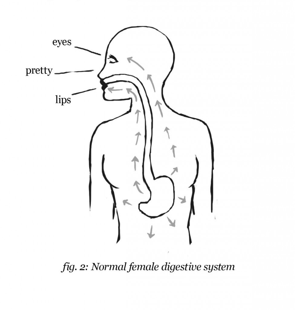 Do women defecate fig 2
