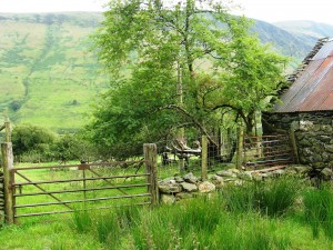 Stone cottage
