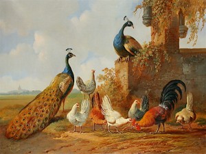 Verhoesen_Peacocks