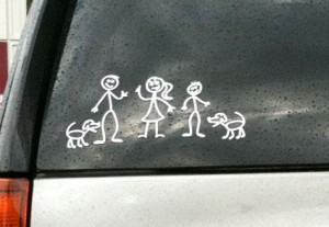 144056-425x294-stick_family