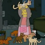 “Enjoy Your Houseful of Cats”: On Being an Asexual Woman
