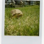 Link Roundup!