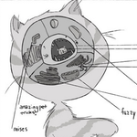 Kool, Relevant Science: A Cartoon