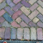 “His exact words were get the f—k on the sidewalk.”